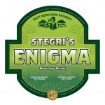 stegris enigma
