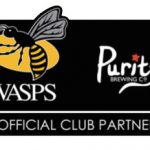 wasps-purity