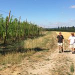 hogsback-hops