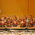 gin-school-4-343a261c