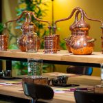 gin-school-5-c244df10